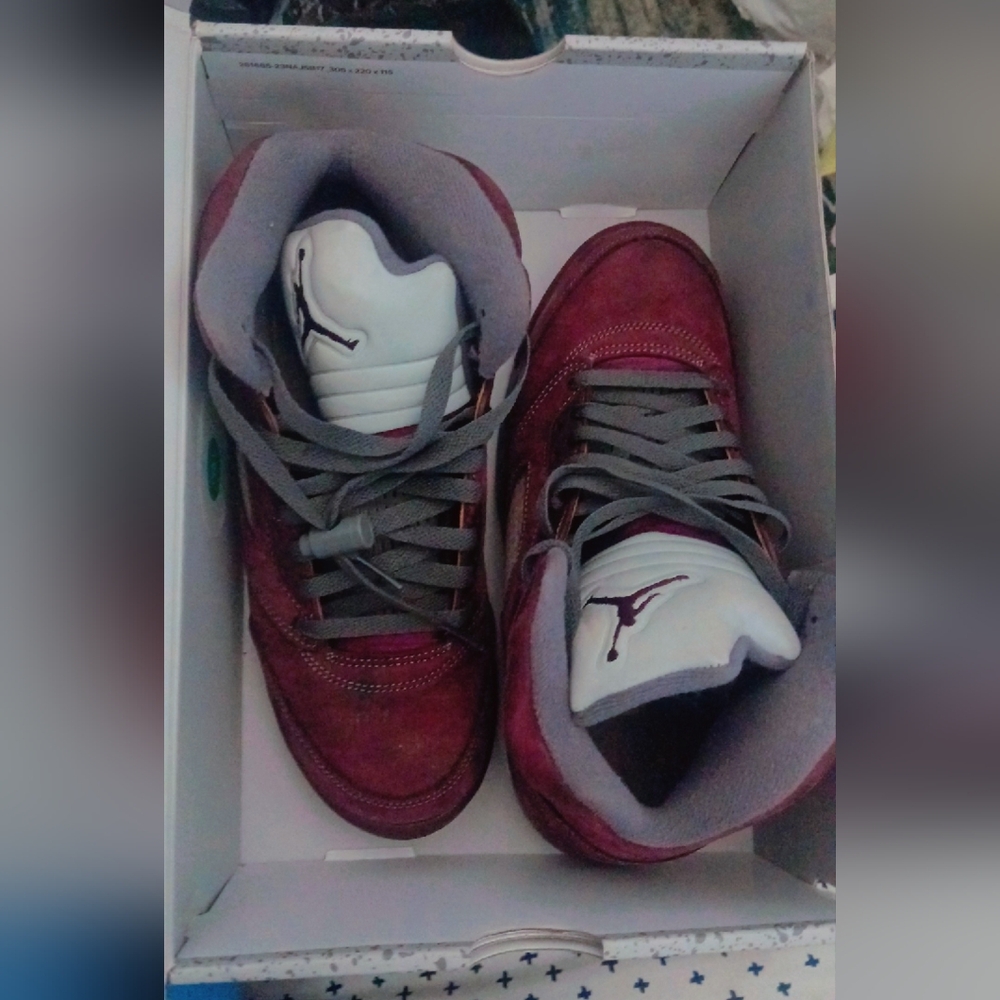 Air Jordan 5 Retro SE "Burgundy